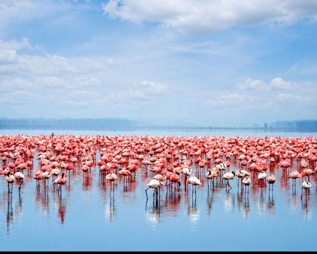 Zanzibar beach